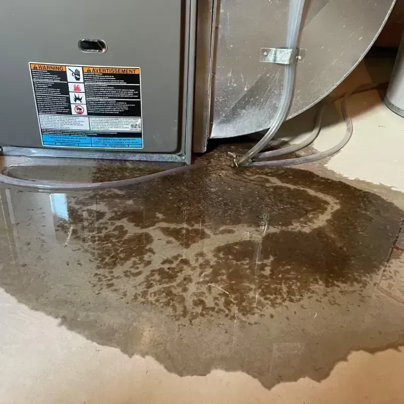 Appliance Leak Cleanup in Orland, CA